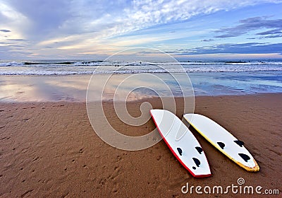 Surf boards lying on beach Stock Photo