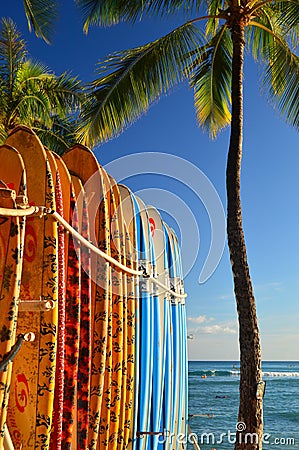 Surf Boards Await Editorial Stock Photo