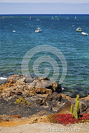 surf cactus coastline lanzarote in spain Stock Photo