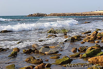 Surf the Mediterranean Sea in Jaffa Stock Photo