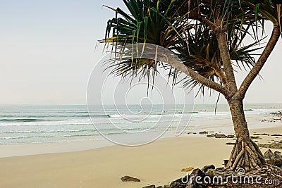 Surf in morning Stock Photo