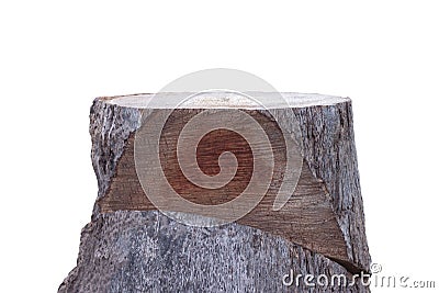 The surface of the coconut tree that has been cut and saw marks isolated on white background. Stock Photo