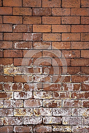 Surface covered with clay bricks with traces of salt oozing in the lower part. Stock Photo