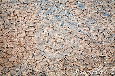Surface of dried ground Stock Photo