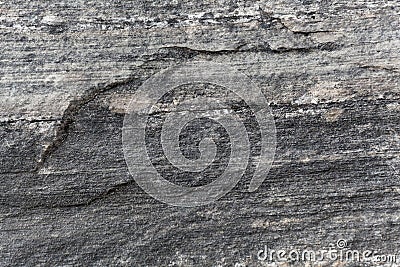 Green schists of Paleozoic age from the Alps Stock Photo