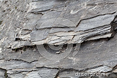 Green schists of Paleozoic age from the Alps Stock Photo