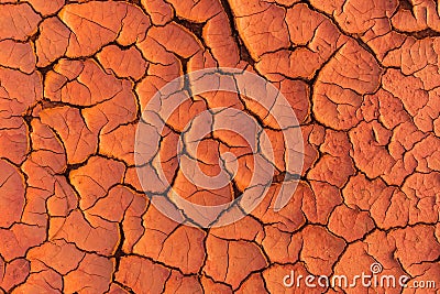 The surface of the land is cracked. Crack soil ground texture Stock Photo