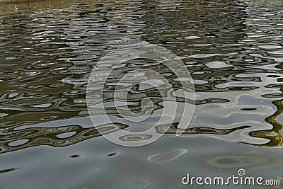 The surface of the light reflects the light as a wave. Stock Photo