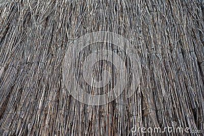 A surface of neatly laid flat straw Stock Photo
