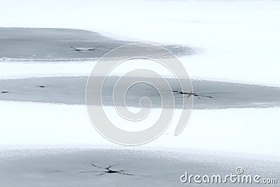 the surface of the pond is covered with ice with thawed the openings Stock Photo