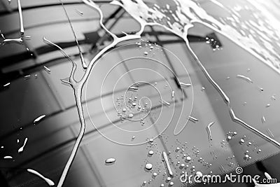 The Surface Protection of the car windows at the car wash under the jets of water. Black and white photo Stock Photo