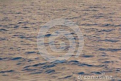 Surface of sea water in evaening time Stock Photo