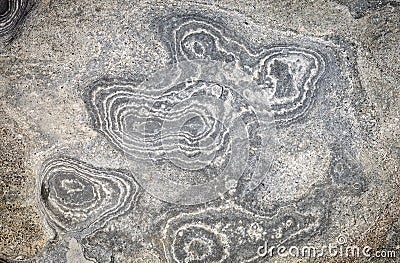 The surface of the stone with brown and gray tint Stock Photo