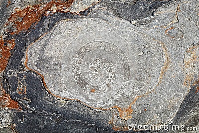 The surface of the stone with brown and gray tint Stock Photo