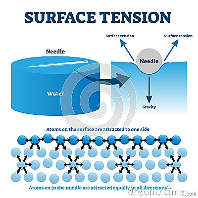 Surface tension explanation vector illustration diagram Vector Illustration