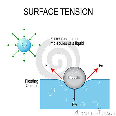 Surface tension Vector Illustration