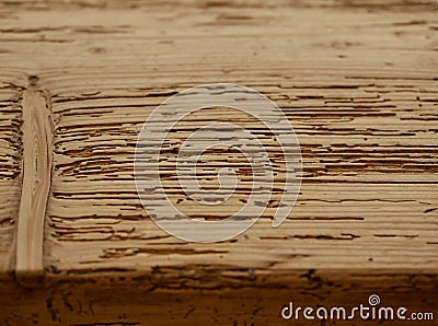 The surface of a wooden board with a pattern left by a bark beetle. Beautiful patterns created by nature. Stock Photo