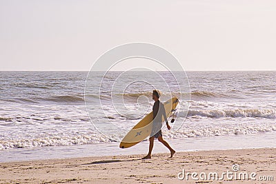 surfer with board and wetsuit on Charleston beach Editorial Stock Photo