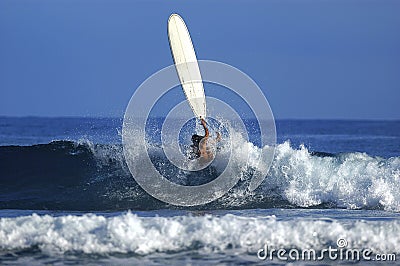 Surfer girl Stock Photo