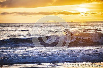 Surfer silhouette hitting a wave at sunset, golden hour, in the water of Newport Beach, California Editorial Stock Photo