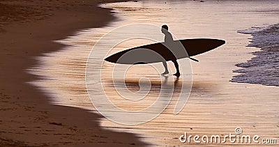 Surfer silhouette at sunrise Stock Photo