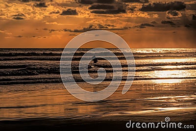 Surfer in the Sunset Stock Photo