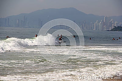 Surfer surfing wave on beach Editorial Stock Photo