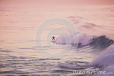 Surfer on a wave Stock Photo