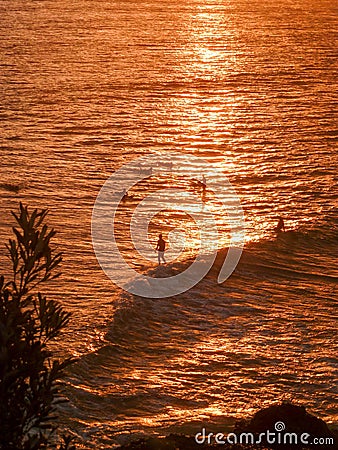 Surfer on a wave in the sunset Stock Photo