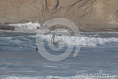 Surfers at Cape Kiwanda During the King Tide of February 2020 Editorial Stock Photo