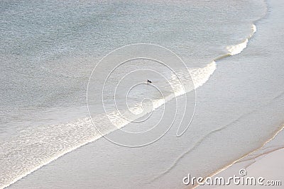 Surfing at the coasts of Rhossili bay, Wales Stock Photo