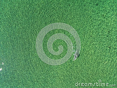 Surfing sport. Man on a white board in the ocean, Sunny day, Aerial top view. Water texture. Outdoor activity concept. Copy space Stock Photo