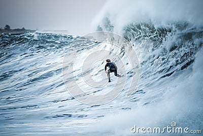 Surfing - A Surfer Drops In On A Huge Wave In Santa Barbara County, California Editorial Stock Photo