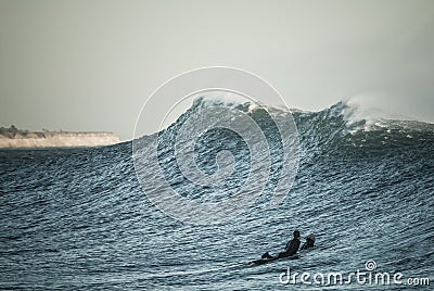 Surfing - Santa Barbara, California Editorial Stock Photo