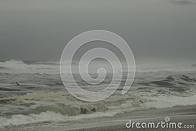 Surfing the waves on the beach of Matosinhos Stock Photo