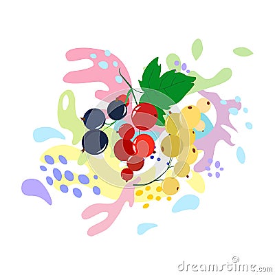 The surge and drop, the movement of liquids, black currant, red and white currants. Splattered with juice and yogurt, drops and Vector Illustration