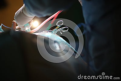 Surgery Stock Photo