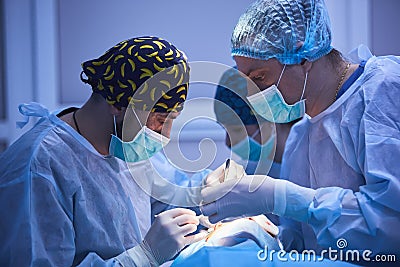 Surgical team performing surgery in modern operation theater,Team of doctors concentrating on a patient during a surgery Stock Photo