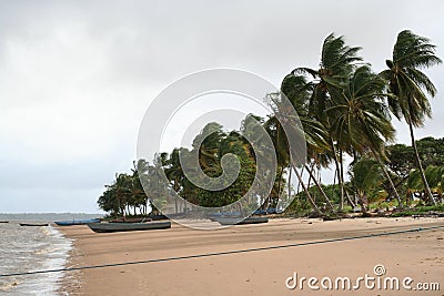 Suriname Galibi 1 Stock Photo