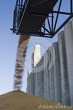 Surplus corn at the silo Stock Photo