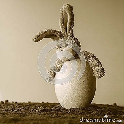 Surprised Easter teddy bunny in a egg. Stock Photo