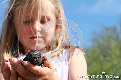 Surprised little girl with a baby rabbit Stock Photo