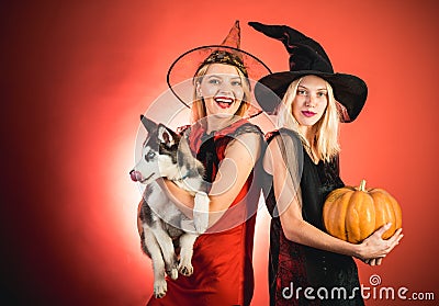 Surprised woman in witches hat and costume on red Halloween background. Attractive model girls in Halloween costume Stock Photo