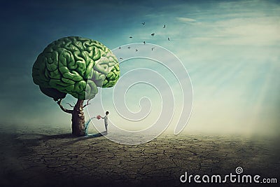 Surreal brain tree in a desolate land and a determined person watering it using a sprinkling can. Man splashes the green shrub Stock Photo