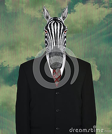 Surreal Business Suit, Wildlife Zebra Stock Photo