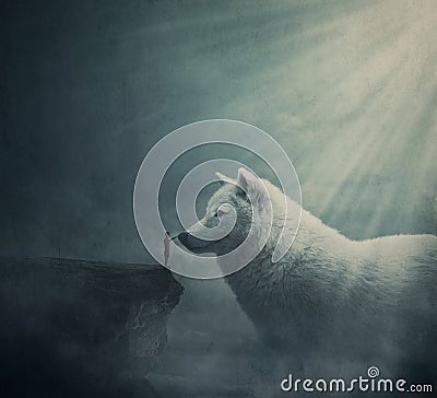 Surreal dreamland scene with a person on the edge of a cliff try to get in touch with a huge white wolf. Fantasy adventure, Stock Photo