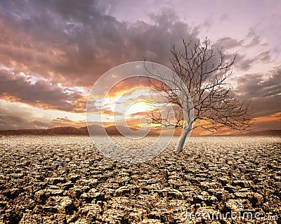 A surreal dry cracked planet with single dead tree on a Frightening sky Stock Photo