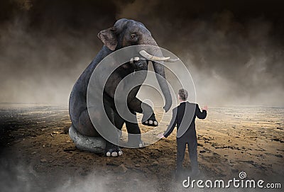 Surreal Elephant Think, Ideas, Innovation Stock Photo