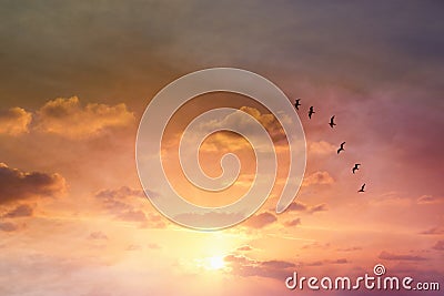 Surreal enigmatic picture of flying birds in sunset or sunrise sky . minimalism and dream concept. Stock Photo