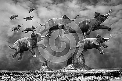 Surreal Flying Elephants, Elephant, Desert Stock Photo